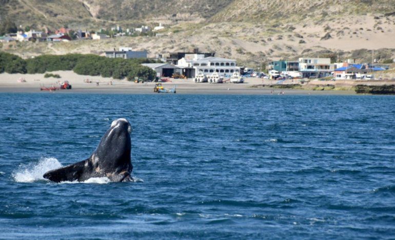 chubut