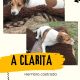 Buscamos a clarita